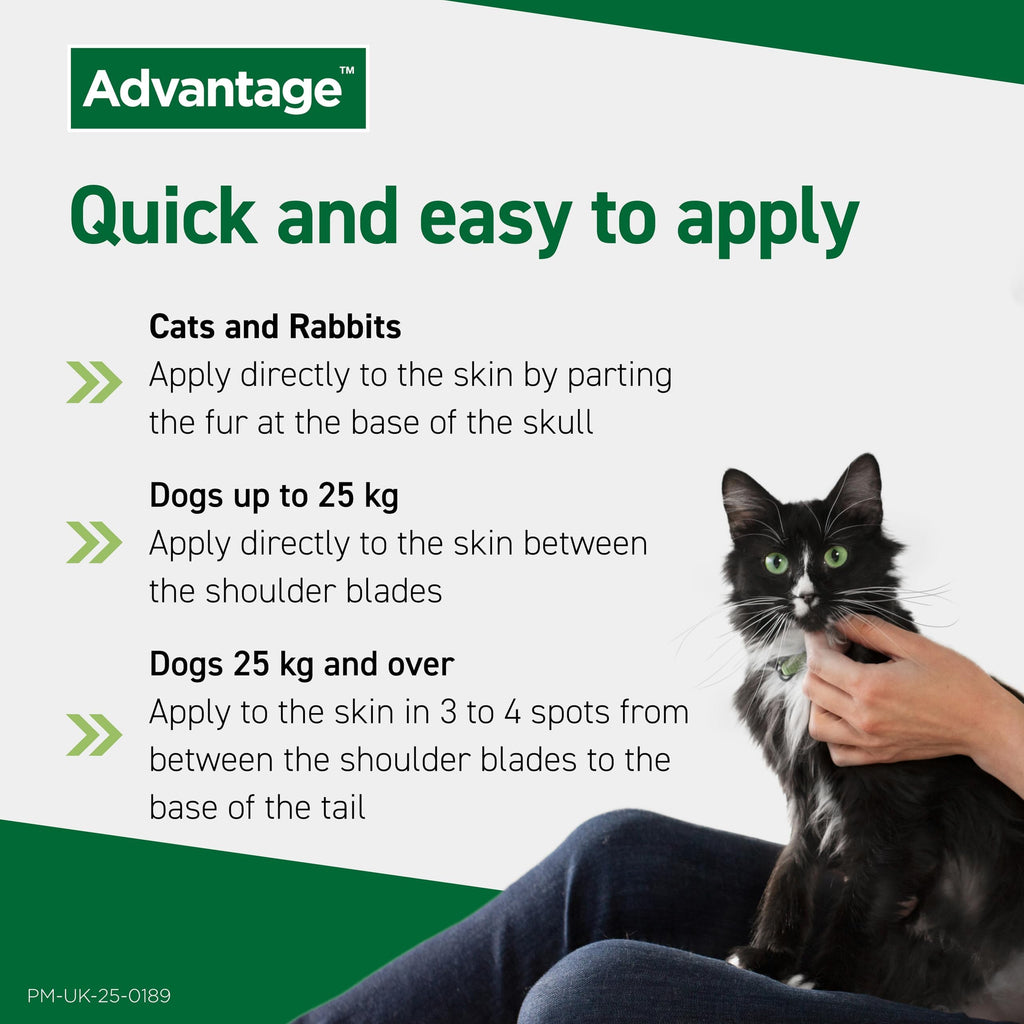 Advantage Spot On Flea Treatment, 4 Pack, Large Cats & Rabbits 4kg+, 80mg | Large cat and rabbit flea drops, Kills fleas within 24 hours, Protects for 4 weeks, Easy to apply, Monthly prevention