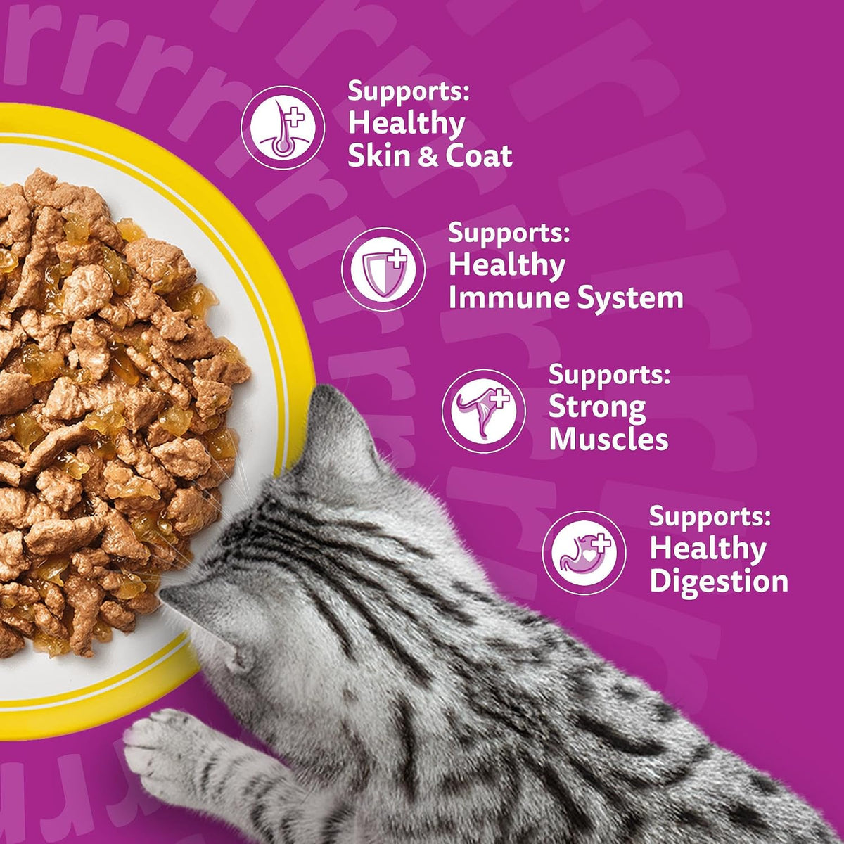 WHISKAS Adult Wet Cat Food in Jelly 40x85g Fish Favourites