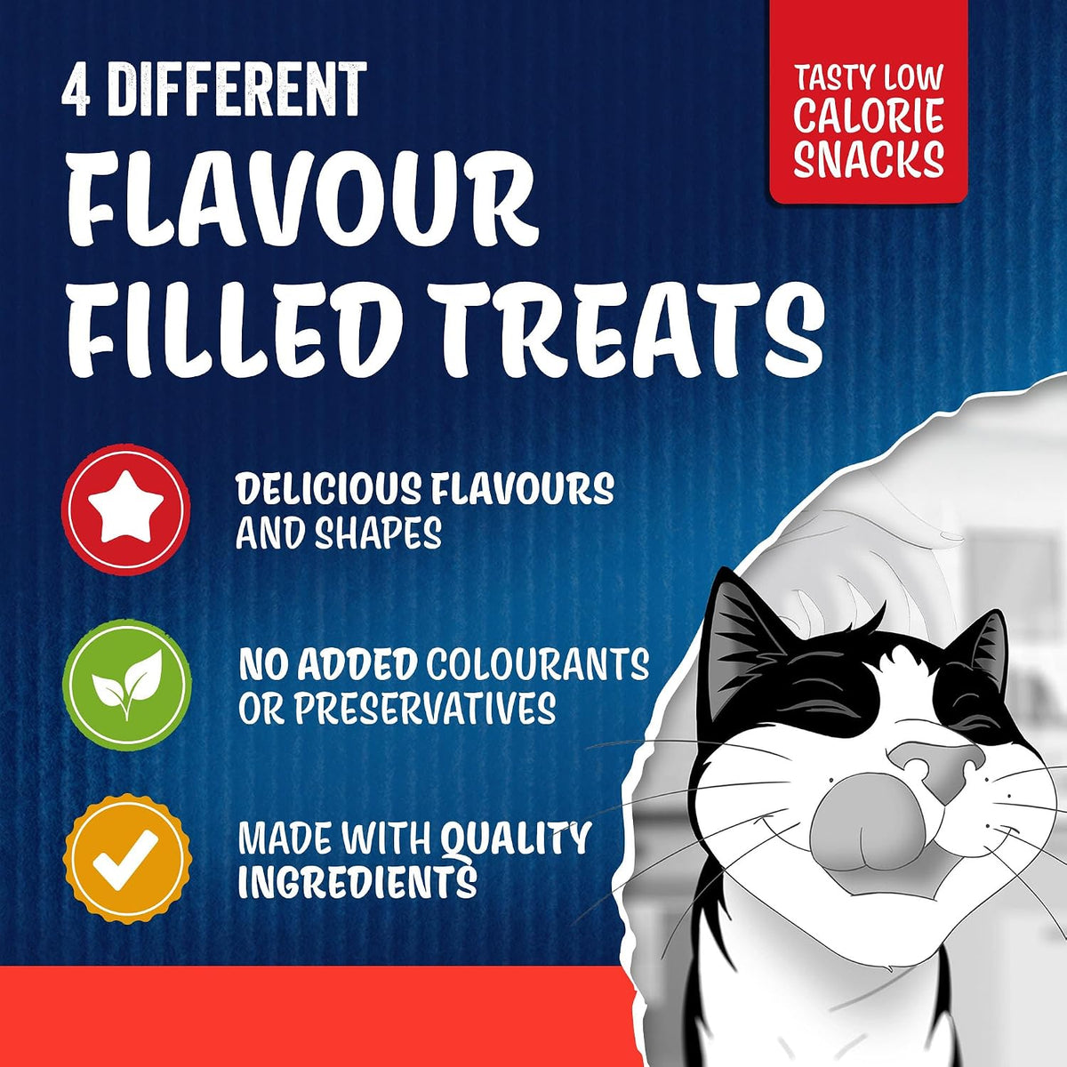 FELIX Soup Tender Strips Farm Selection Wet Cat Food 6x48g (Pack of 8)