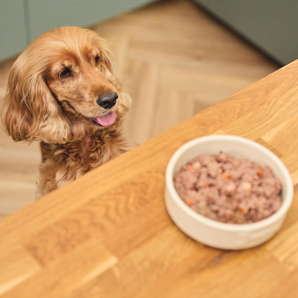 Lily's Kitchen Natural Adult Dog Food Wet Trays - Classic Dinners Multipack - Chicken, Lamb & Beef - Complete Meal Recipes (6 Trays x 150g)