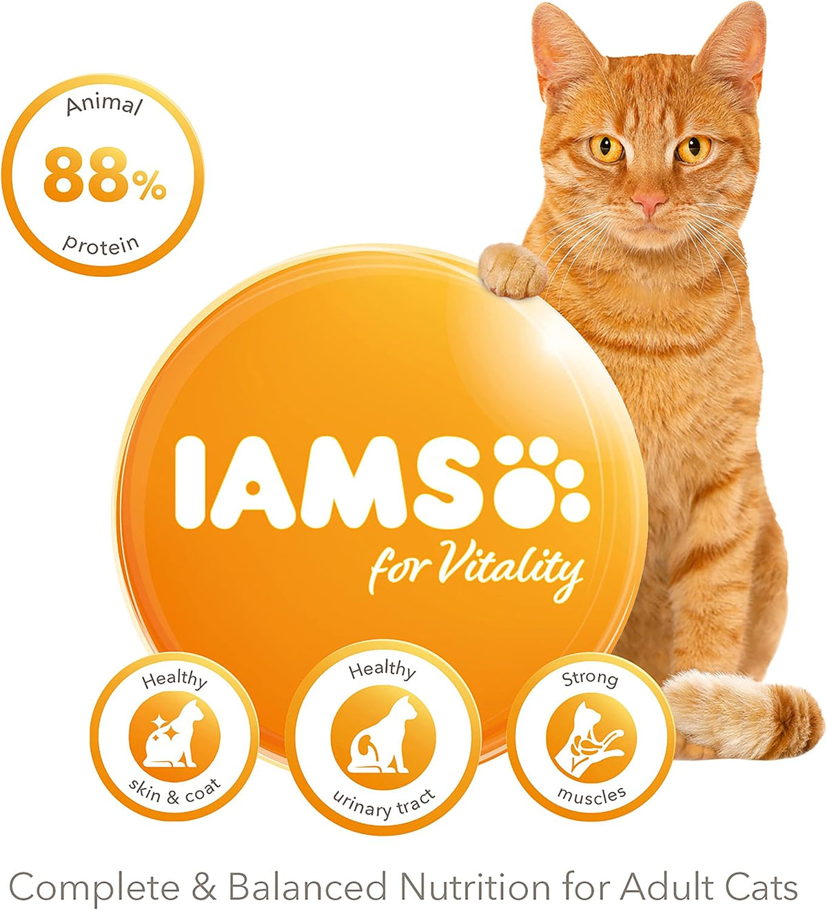 IAMS Adult Complete Dry Cat Food Chicken 3kg - Supports Strong Immune System