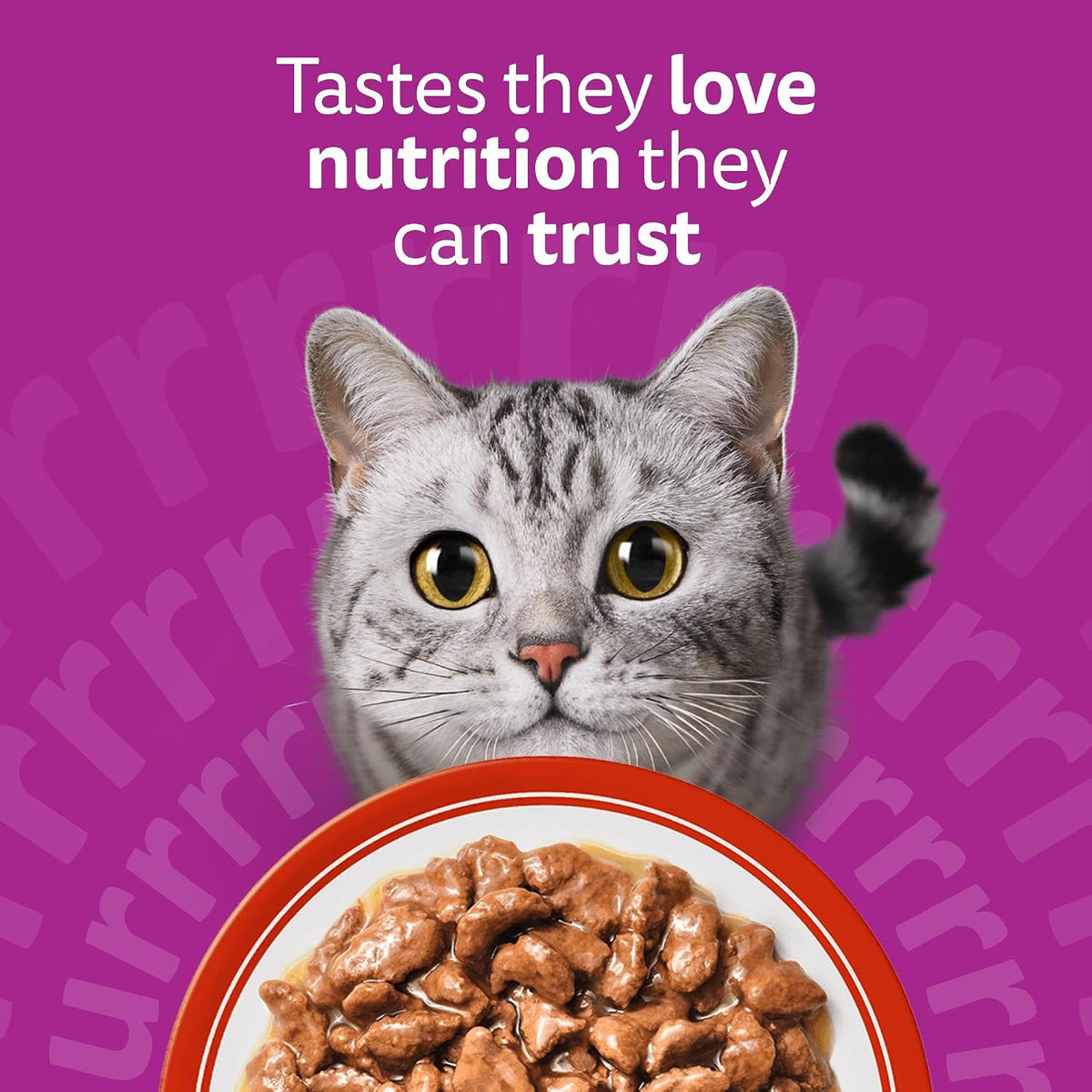 WHISKAS Adult Wet Cat Food in Jelly 40x85g Fish Favourites