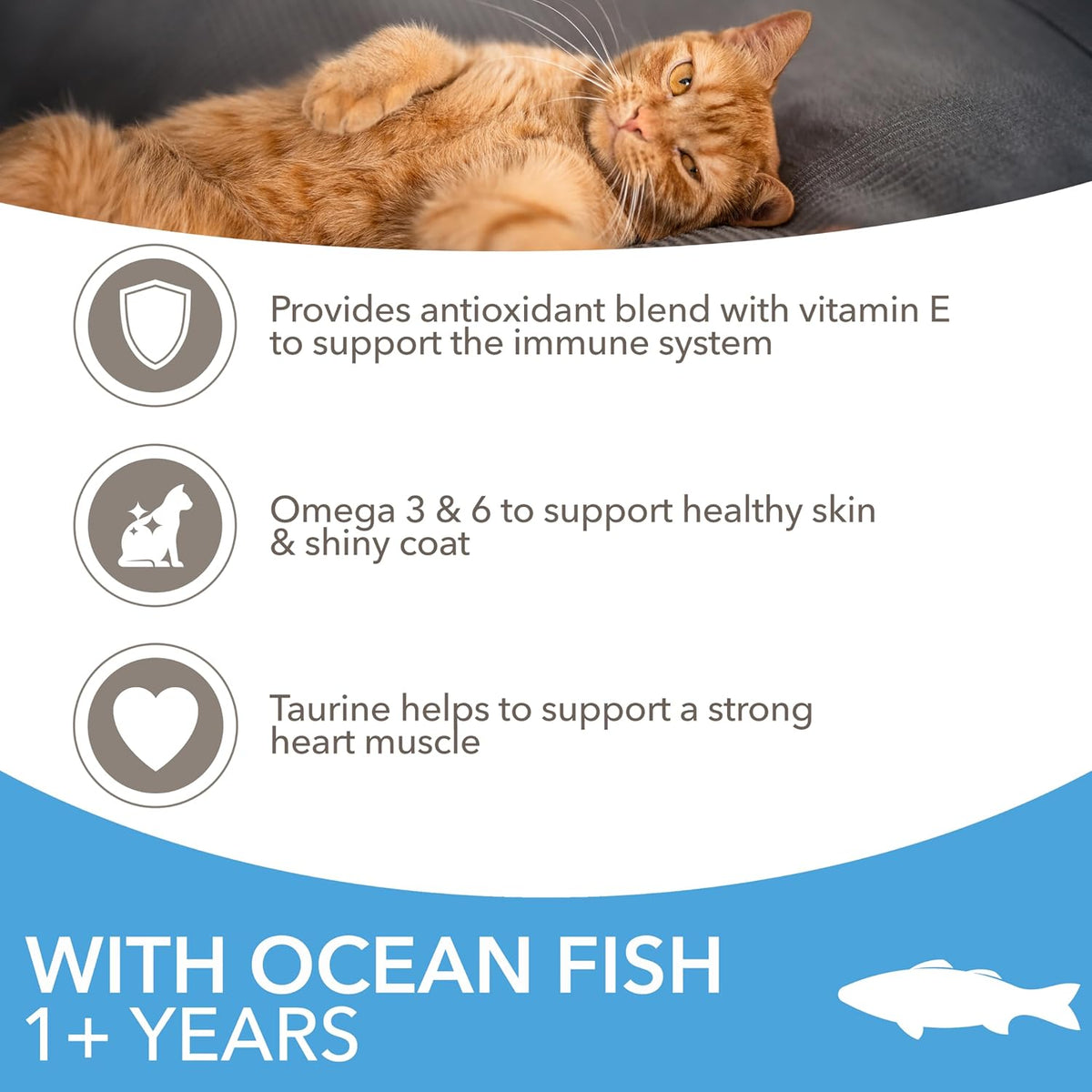 IAMS Adult Complete Dry Cat Food Chicken 3kg - Supports Strong Immune System