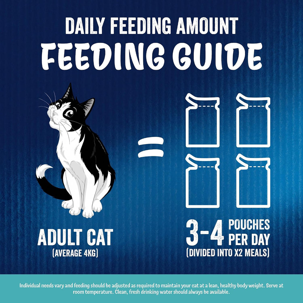 FELIX Doubly Delicious Countryside Selection in Jelly Wet Cat Food 40x85g