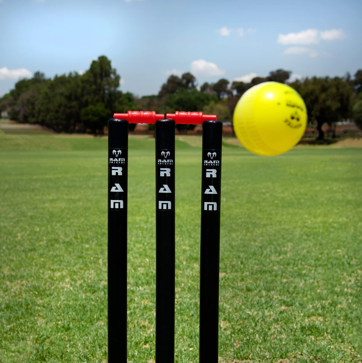 Ram Cricket - Crazy Cricket Set - Age 9 yrs - Adult - Pro balanced design