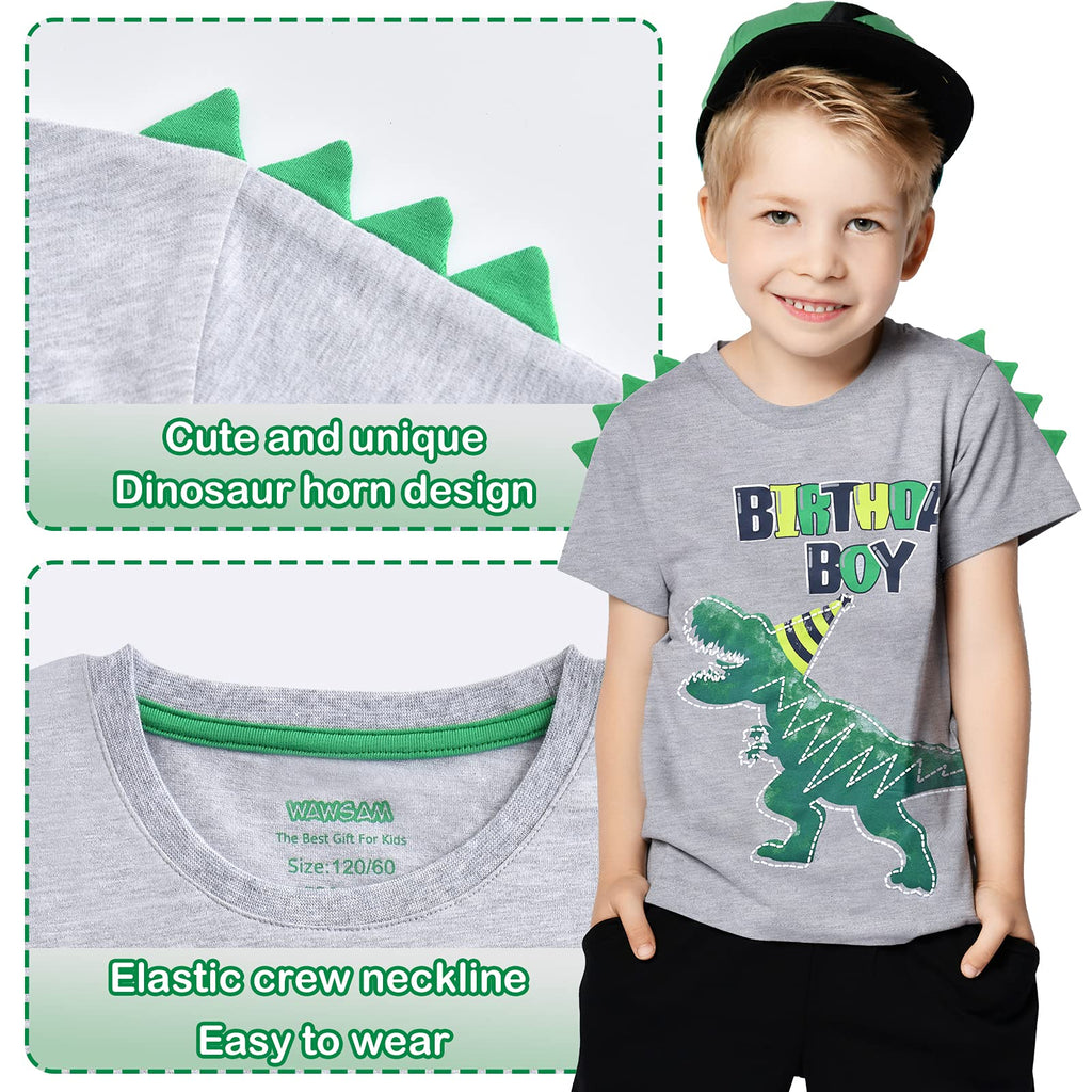 WAWSAM Birthday Boy T Shirt Baby B-Day Dino Party Shirts T Rex Top Tee Gift
