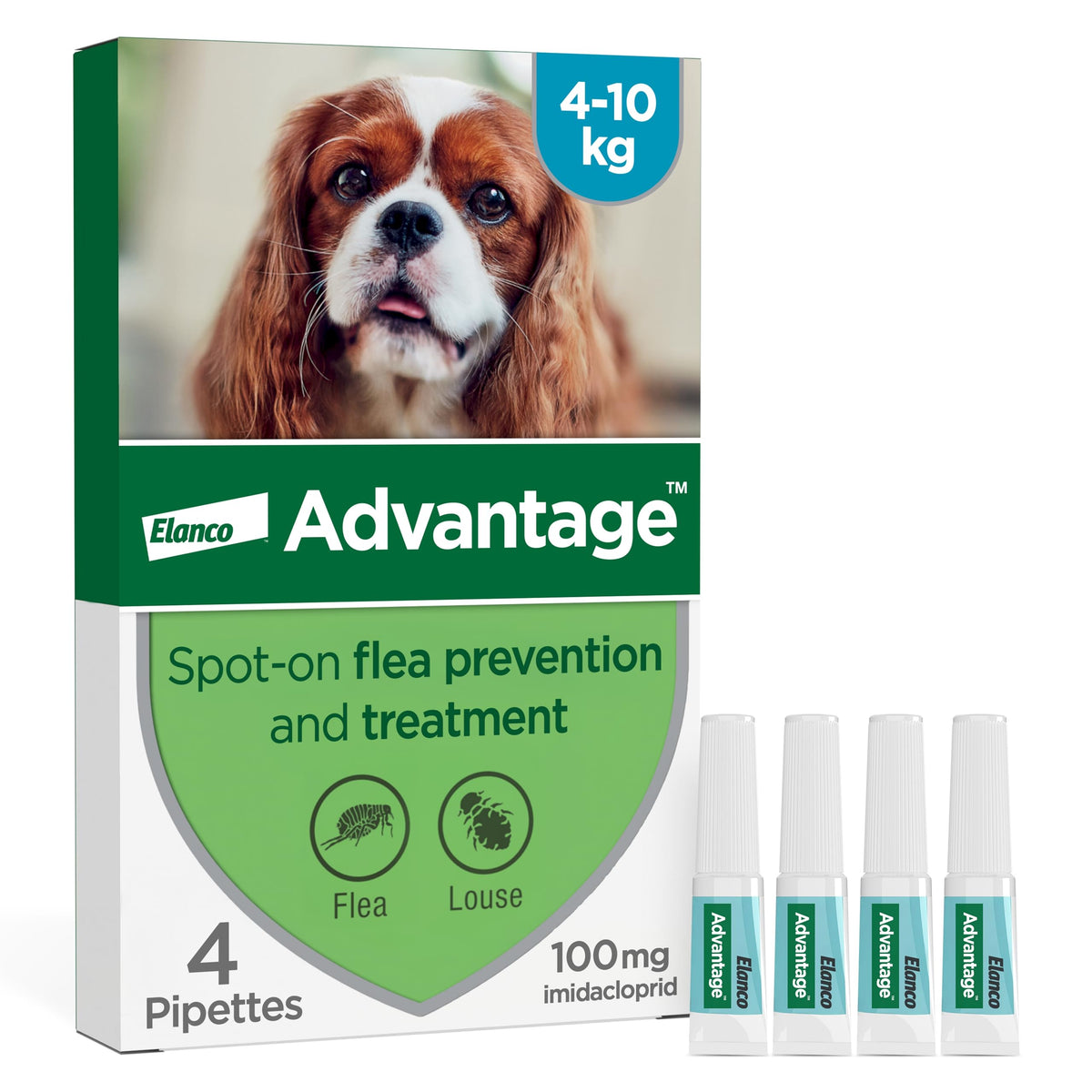Advantage Spot On Flea Treatment, 4 Pack, Large Cats & Rabbits 4kg+, 80mg | Large cat and rabbit flea drops, Kills fleas within 24 hours, Protects for 4 weeks, Easy to apply, Monthly prevention