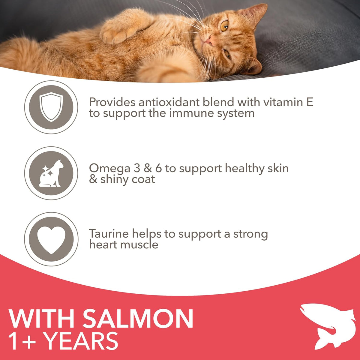 IAMS Adult Complete Dry Cat Food Chicken 3kg - Supports Strong Immune System