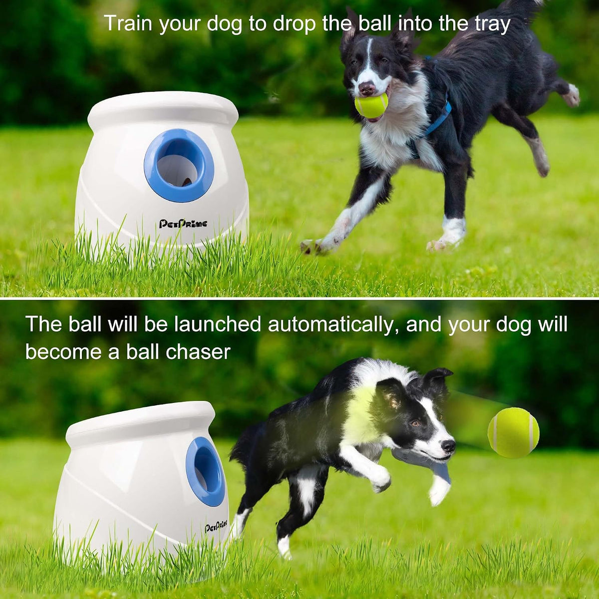 Pet Prime Automatic Dog Ball Launcher for Large Breed, Rechargeable Interactive Ball Thrower Toy with 10-40Ft, Fetch Machine with 6 Durable 2.5" Tennis Balls & Dog Whistle
