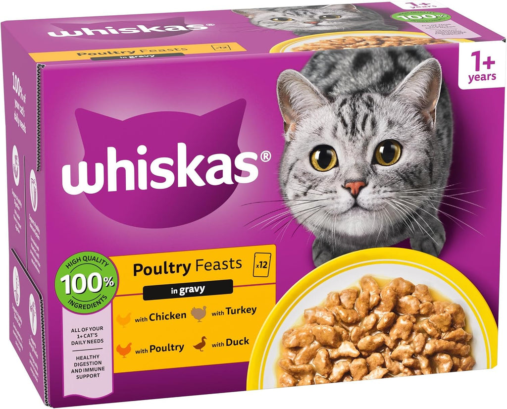 WHISKAS Adult Wet Cat Food in Jelly 40x85g Fish Favourites