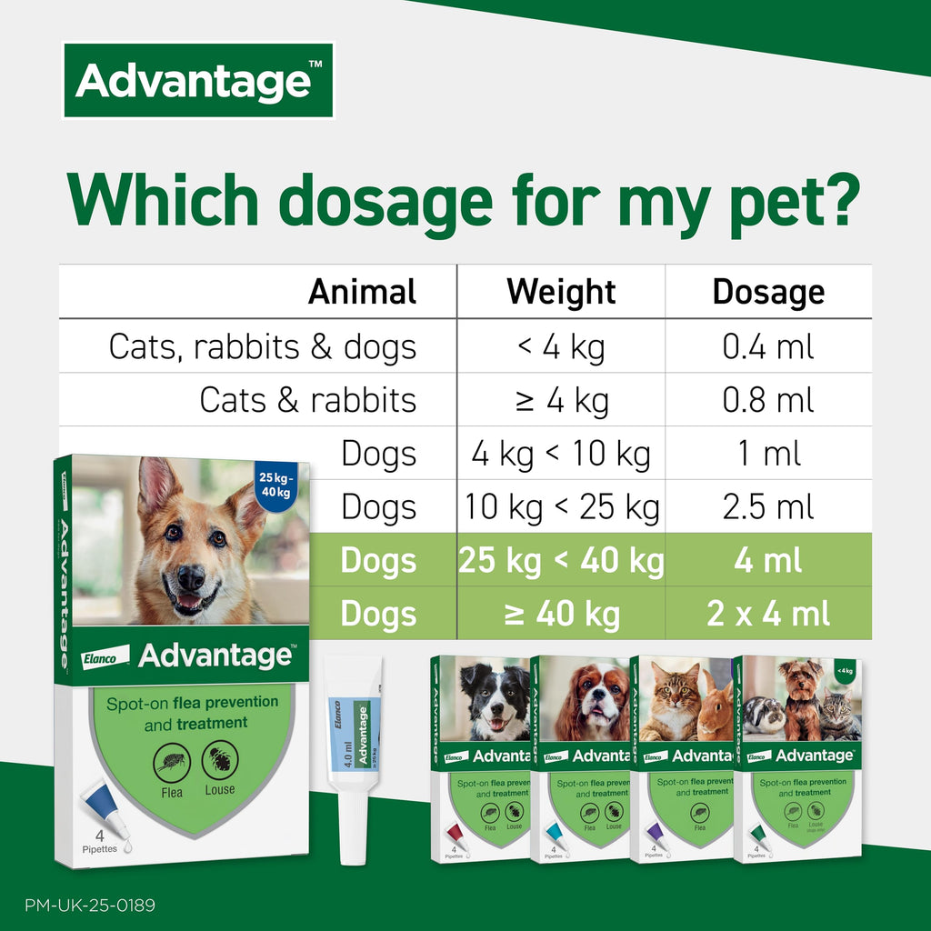 Advantage Spot On Flea Treatment, 4 Pack, Large Cats & Rabbits 4kg+, 80mg | Large cat and rabbit flea drops, Kills fleas within 24 hours, Protects for 4 weeks, Easy to apply, Monthly prevention