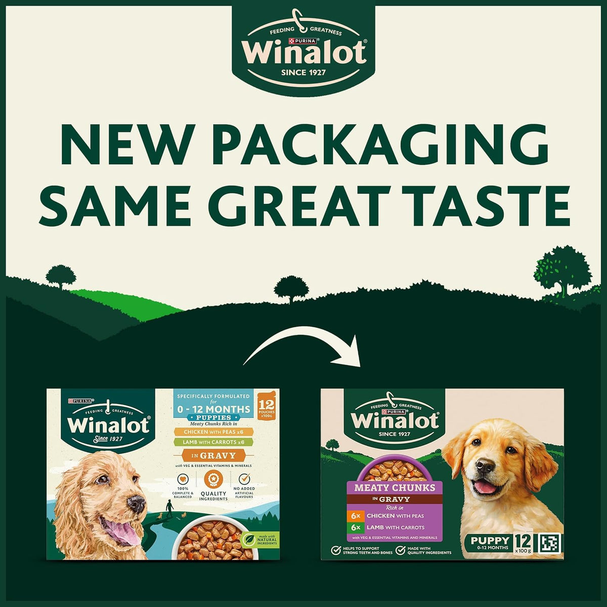 WINALOT Sunday Dinner Mixed in Gravy Wet Dog Food Pouches 40x100g