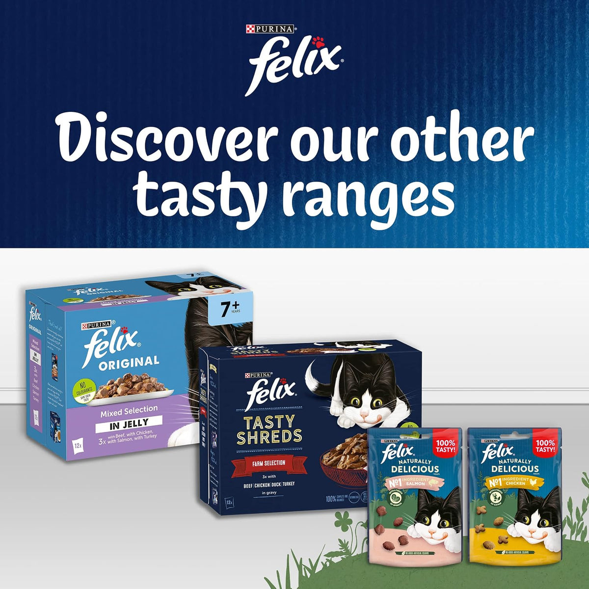 FELIX Soup Tender Strips Farm Selection Wet Cat Food 6x48g (Pack of 8)