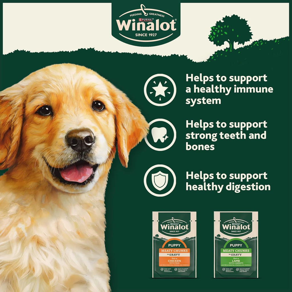 WINALOT Sunday Dinner Mixed in Gravy Wet Dog Food Pouches 40x100g