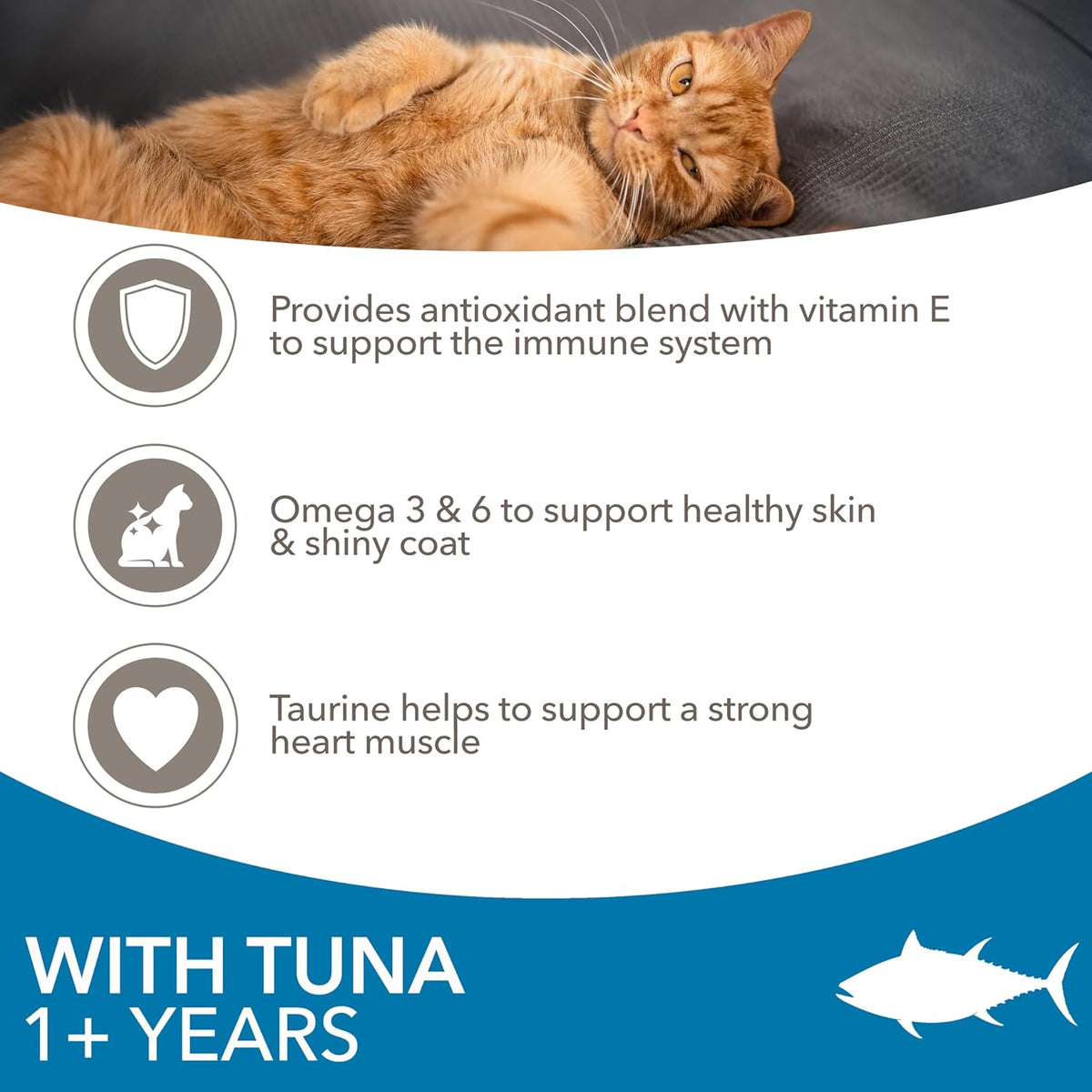 IAMS Adult Complete Dry Cat Food Chicken 3kg - Supports Strong Immune System