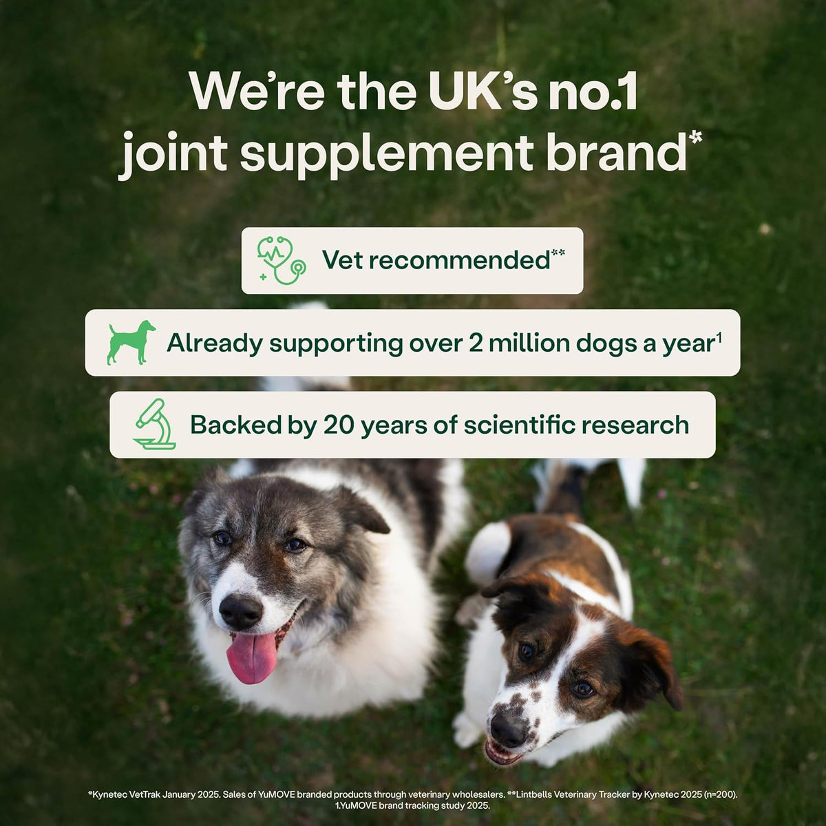 YuMOVE Joint Supplement for Dogs, Higher Strength for Joint Care, Essential Dog Hip and Joint Support for Adult Dogs Aged 6 to 8, 120 Tablets - Eco Friendly and Letter Box Ready Packaging