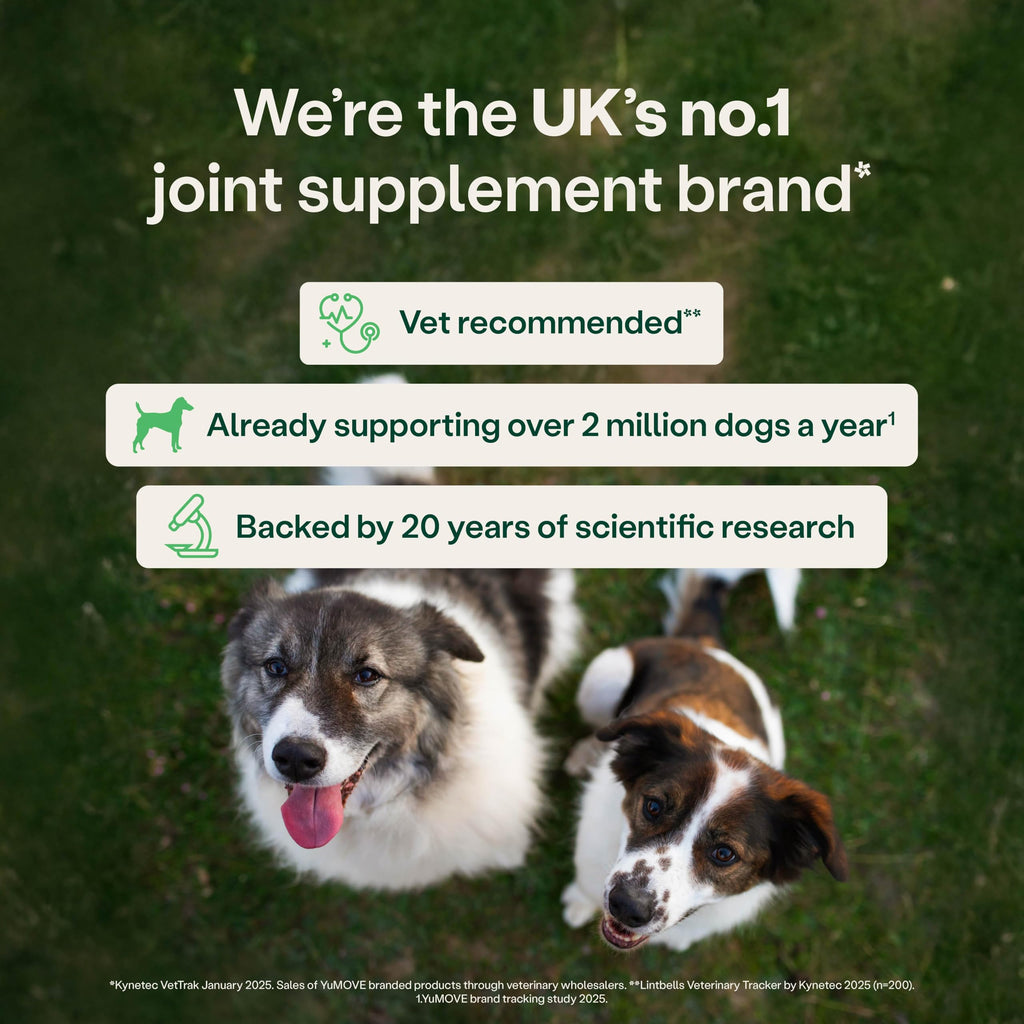 YuMOVE Joint Supplement for Dogs, Higher Strength for Joint Care, Essential Dog Hip and Joint Support for Adult Dogs Aged 6 to 8, 120 Tablets - Eco Friendly and Letter Box Ready Packaging