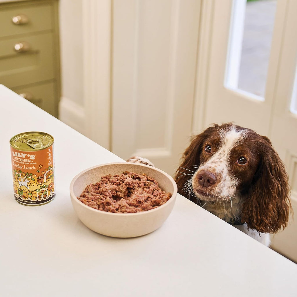 Lily's Kitchen Natural Adult Dog Food Wet Trays - Classic Dinners Multipack - Chicken, Lamb & Beef - Complete Meal Recipes (6 Trays x 150g)