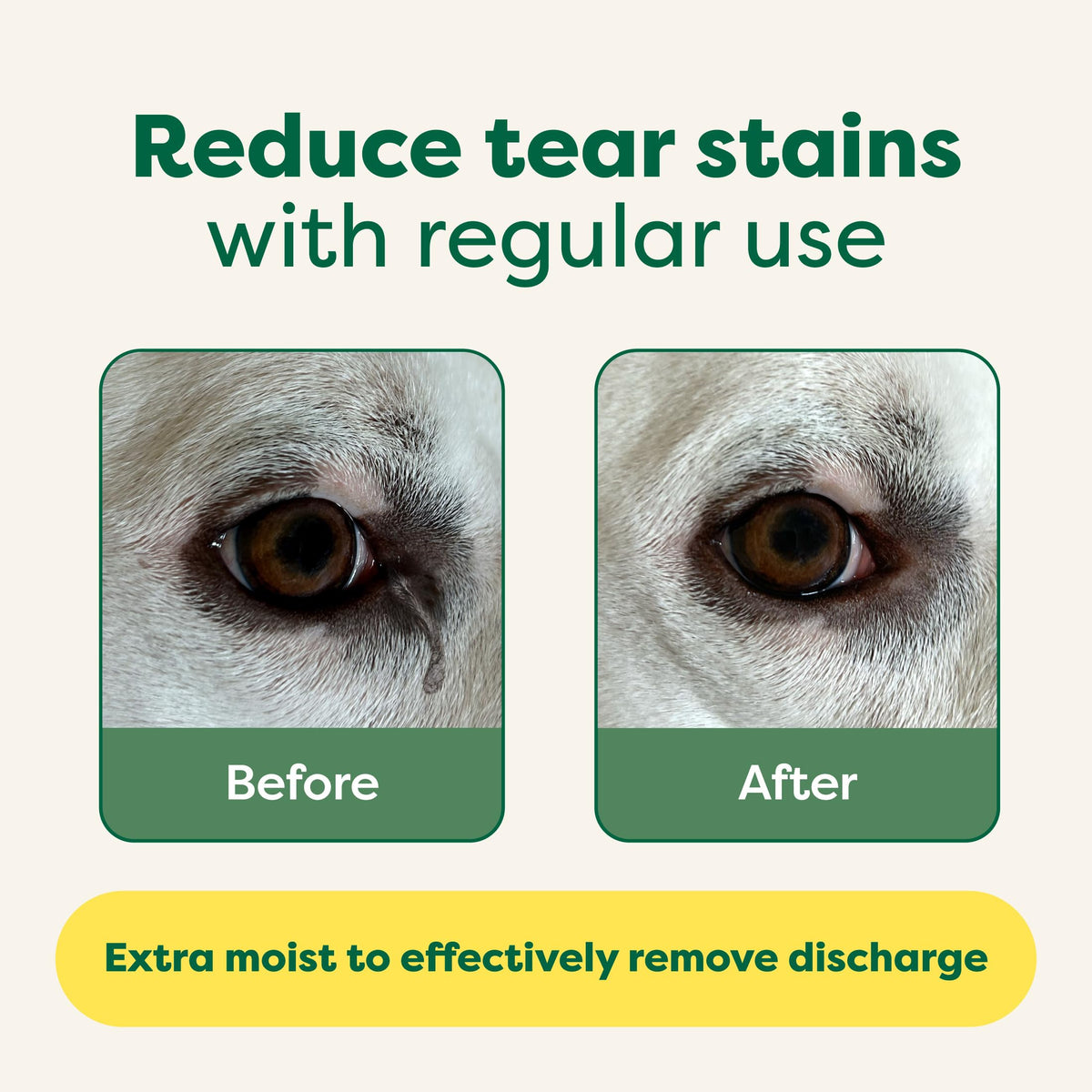 Earth Rated Dog Wipes, Hypoallergenic, Cleaning and Hydrating, for Grooming Paws, Body and Bums, Lavender Scented, 100 Count
