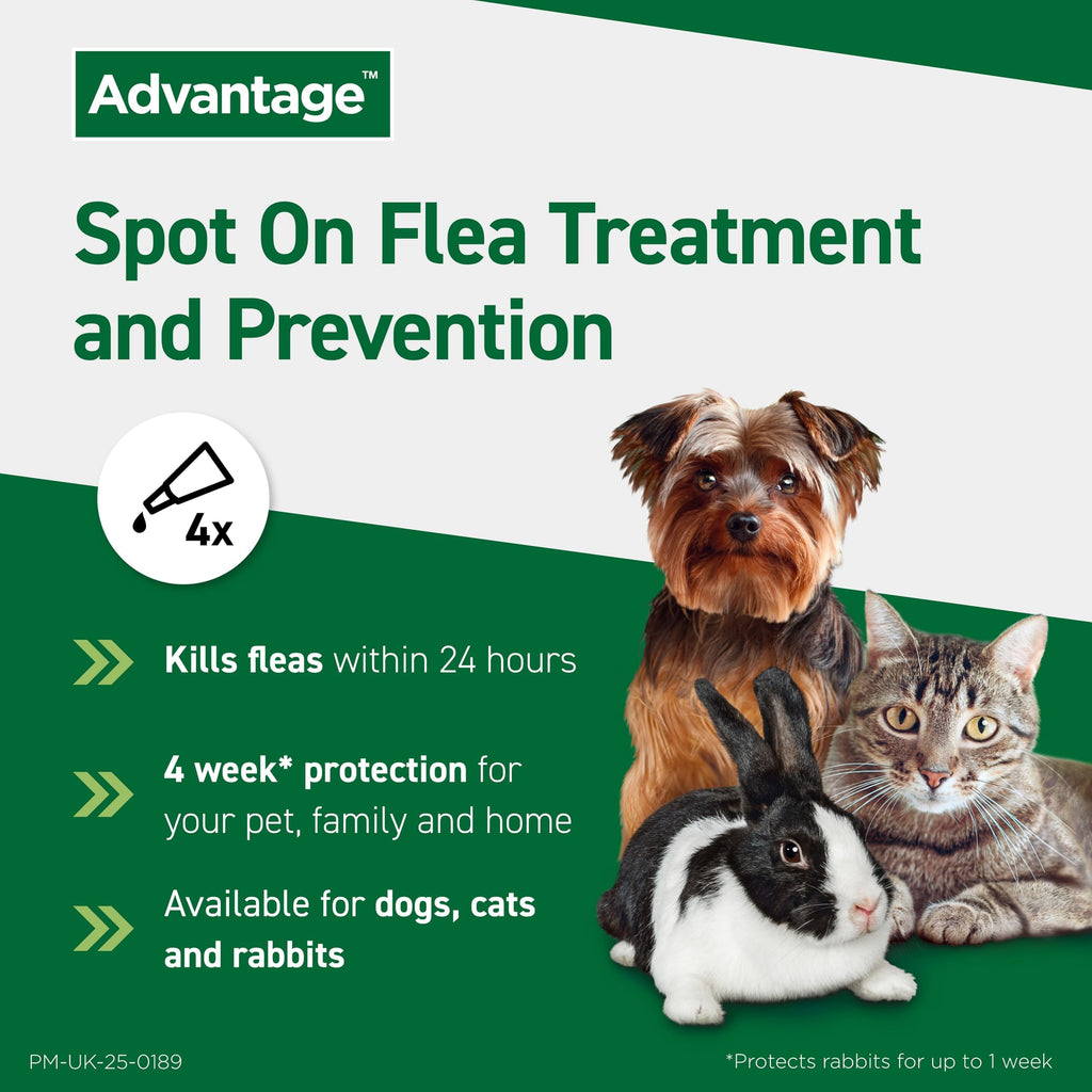 Advantage Spot On Flea Treatment, 4 Pack, Large Cats & Rabbits 4kg+, 80mg | Large cat and rabbit flea drops, Kills fleas within 24 hours, Protects for 4 weeks, Easy to apply, Monthly prevention
