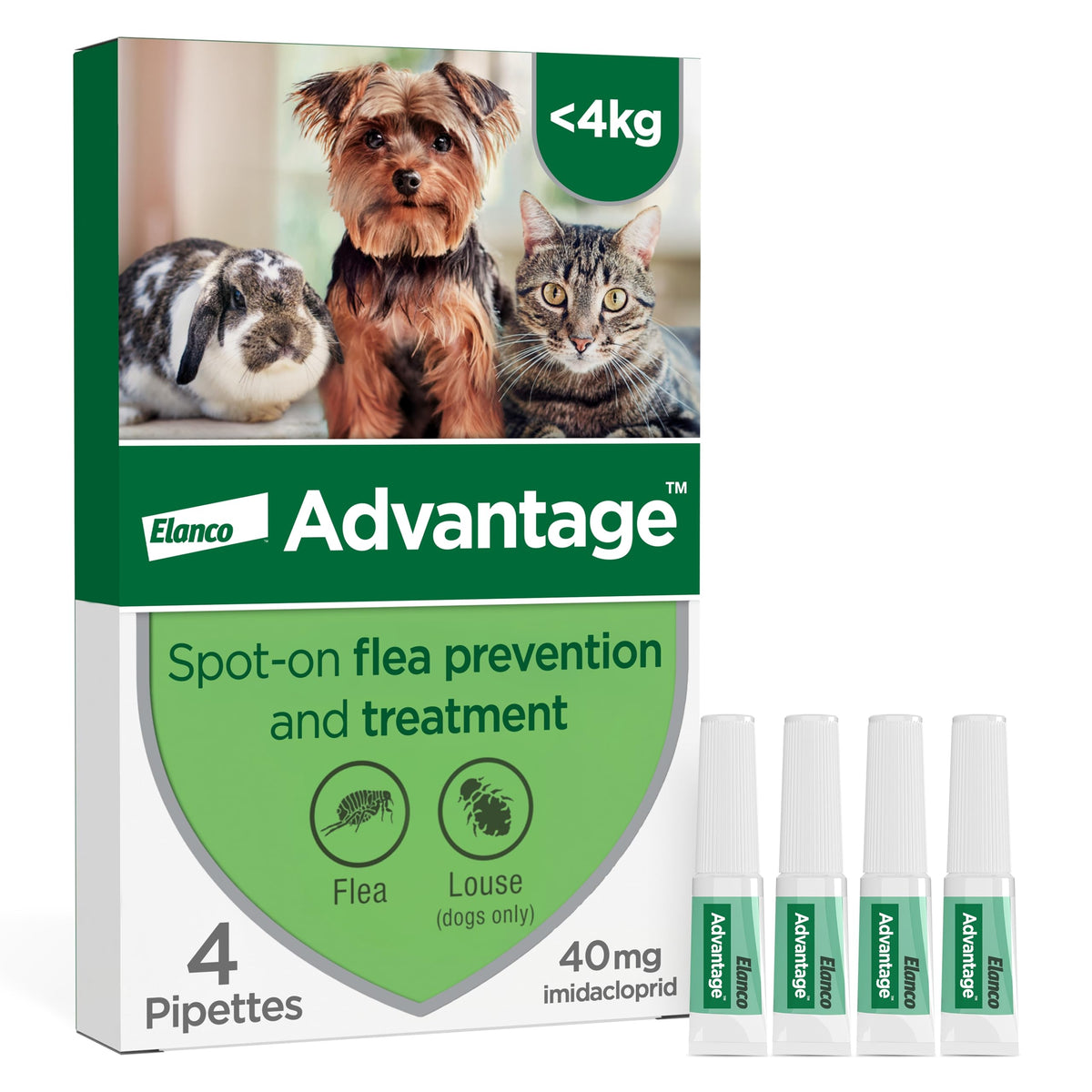Advantage Spot On Flea Treatment, 4 Pack, Large Cats & Rabbits 4kg+, 80mg | Large cat and rabbit flea drops, Kills fleas within 24 hours, Protects for 4 weeks, Easy to apply, Monthly prevention