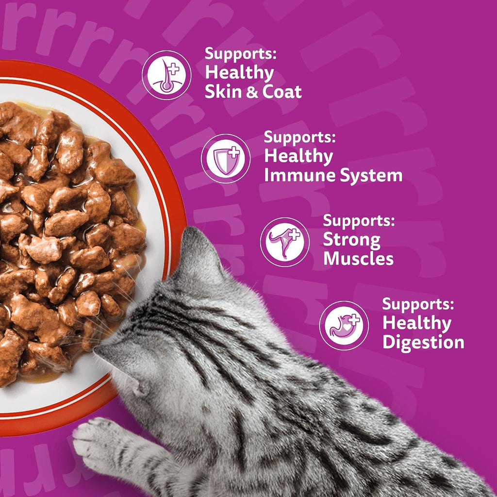 WHISKAS Adult Wet Cat Food in Jelly 40x85g Fish Favourites
