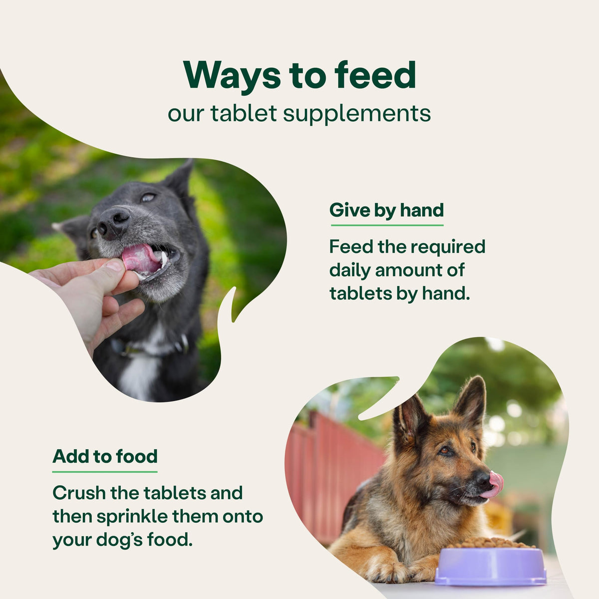 YuMOVE Joint Supplement for Dogs, Higher Strength for Joint Care, Essential Dog Hip and Joint Support for Adult Dogs Aged 6 to 8, 120 Tablets - Eco Friendly and Letter Box Ready Packaging