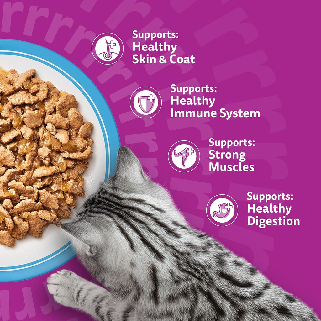 WHISKAS Adult Wet Cat Food in Jelly 40x85g Fish Favourites