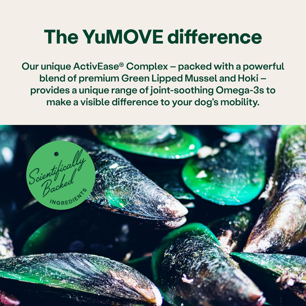 YuMOVE Joint Supplement for Dogs, Higher Strength for Joint Care, Essential Dog Hip and Joint Support for Adult Dogs Aged 6 to 8, 120 Tablets - Eco Friendly and Letter Box Ready Packaging