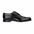 Edward | Derby Wing Tip Brogue