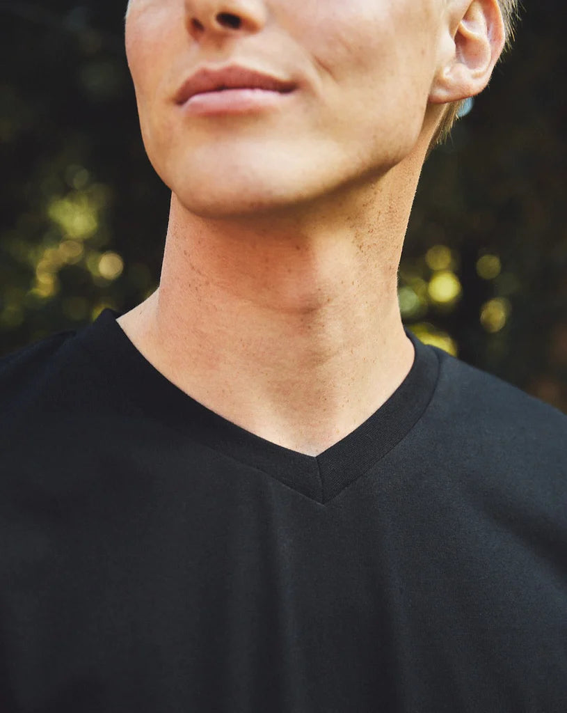 Fairtrade Organic V-neck T-shirt: Mens