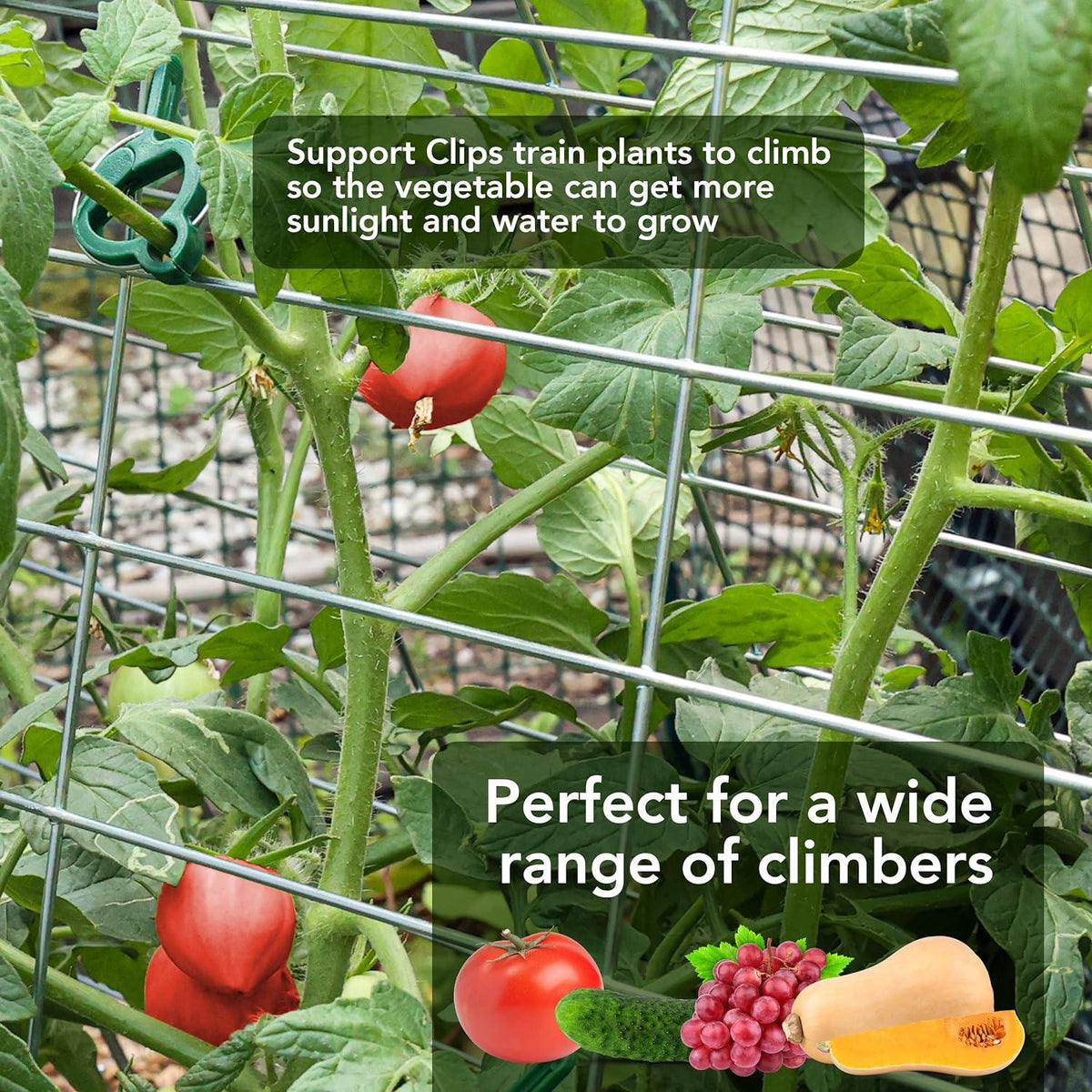 Garden Trellis for Climbing Plants Vegetables Plant Support Frame with Clips